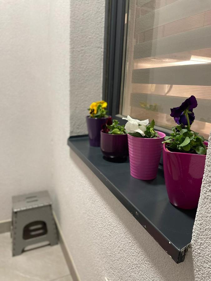 Apartman Mik Novi Sad Dış mekan fotoğraf